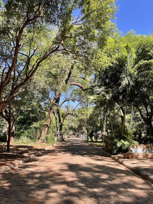 Roman Esco in Paraguay | Botanischer und Zoologischer Garten von Asunción